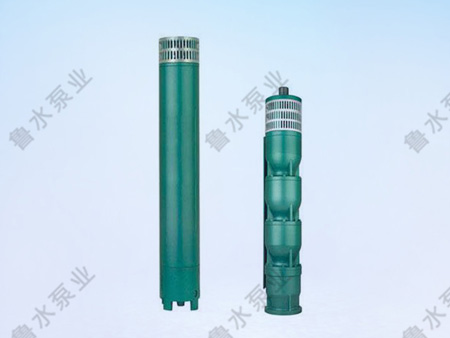 175QJ井用潛(qian)水電泵