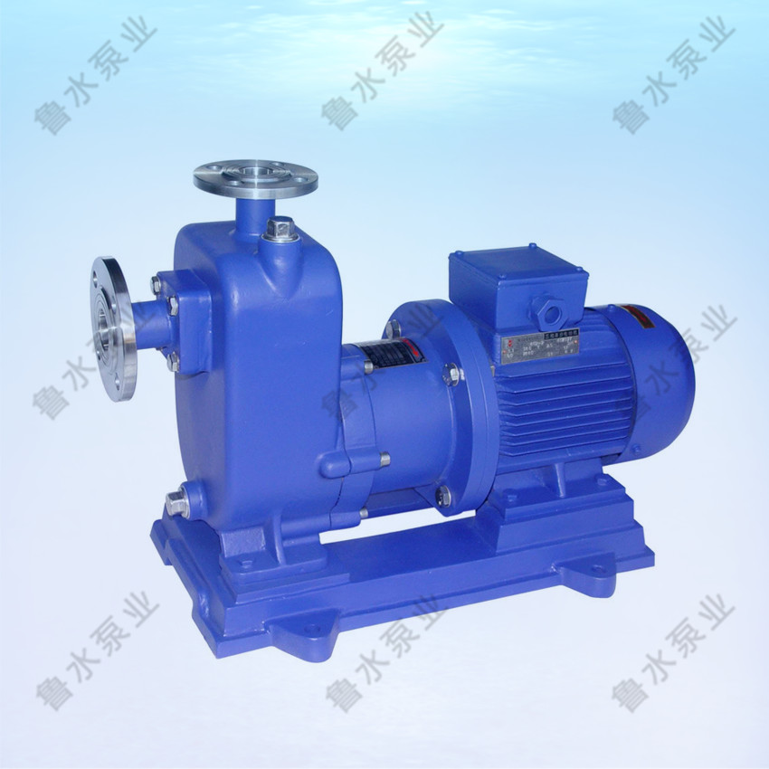 ZW自吸無堵(dǔ)塞排污泵(beng)