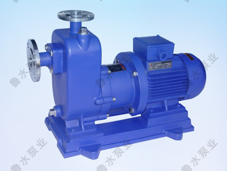 ZW自吸無堵塞(sāi)排污泵