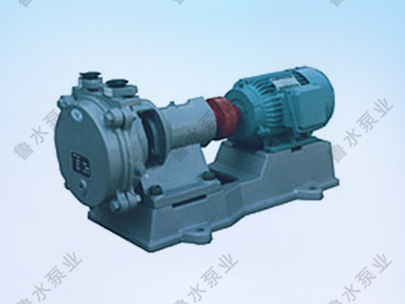 SZB系列水(shui)環式真空泵