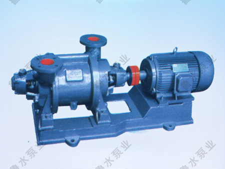 SZ系列(liè)水環式真空(kong)泵