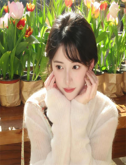 探秘《DMZ非军事区》的情感表达与人性探索